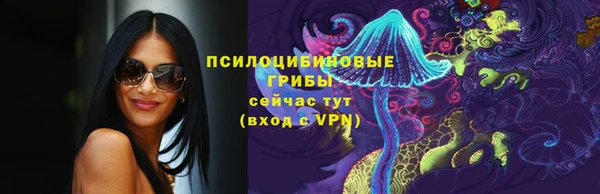 mix Богородицк