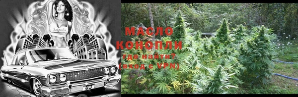 ECSTASY Богданович