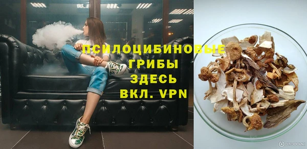 прущий лед Богородск