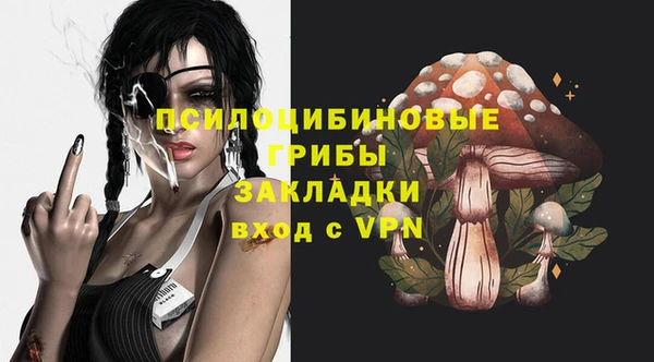 прущий лед Богородск