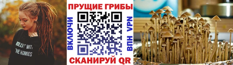 Псилоцибиновые грибы MAGIC MUSHROOMS  Юхнов 